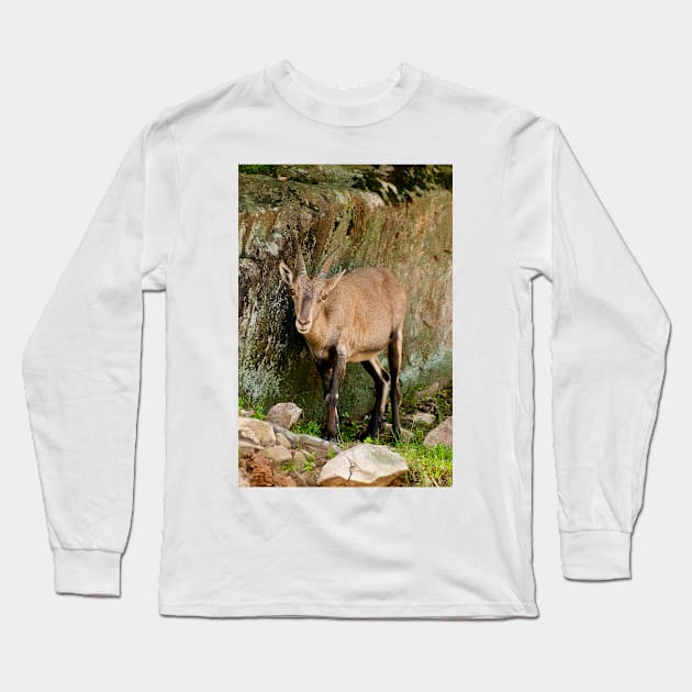 Ibex Long Sleeve T-Shirt by jaydee1400